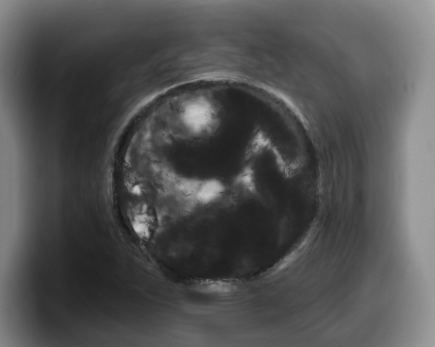 X0000099451263200805090720