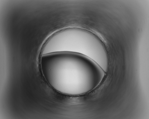 X0000099451264200805090720