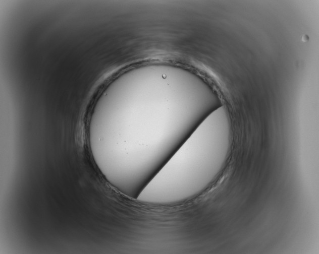 X0000099451267200805090720