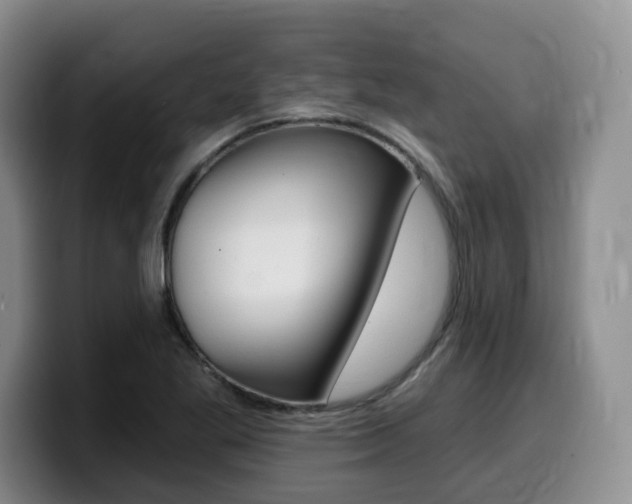 X0000099451269200805090720