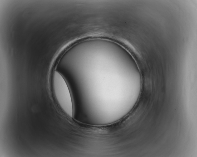 X0000099451270200805090720