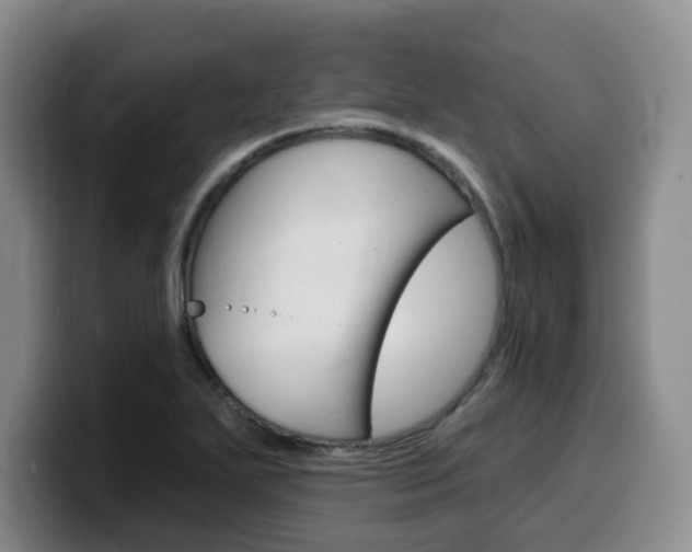 X0000099451271200805090720