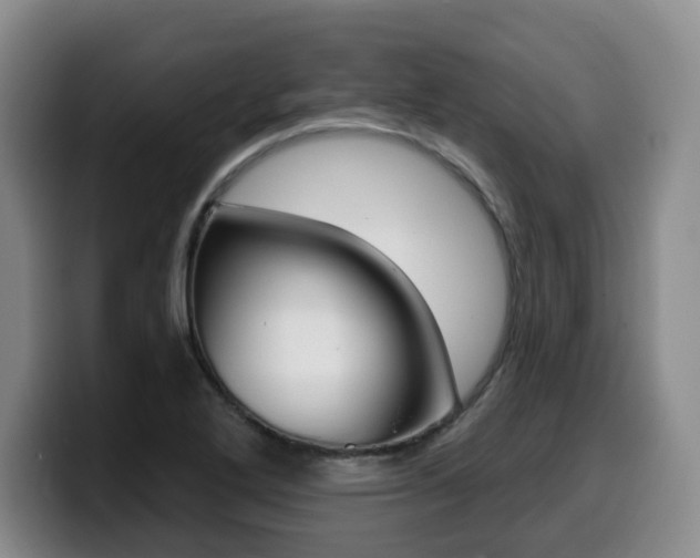 X0000099451272200805090720
