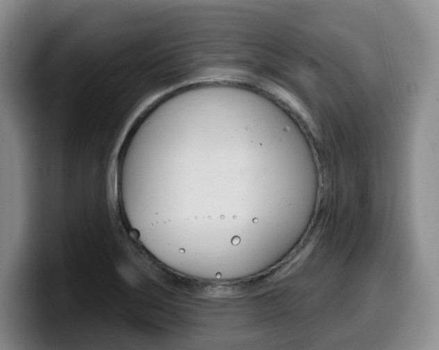X0000099451275200805090720