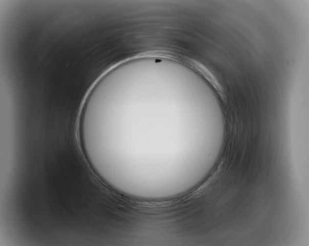 X0000099451276200805090720