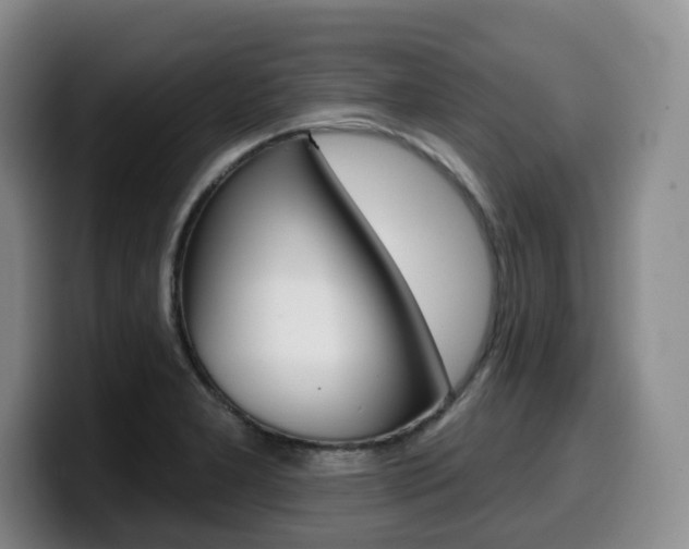 X0000099451277200805090720