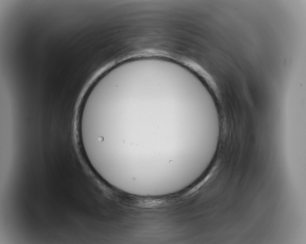 X0000099451278200805090720