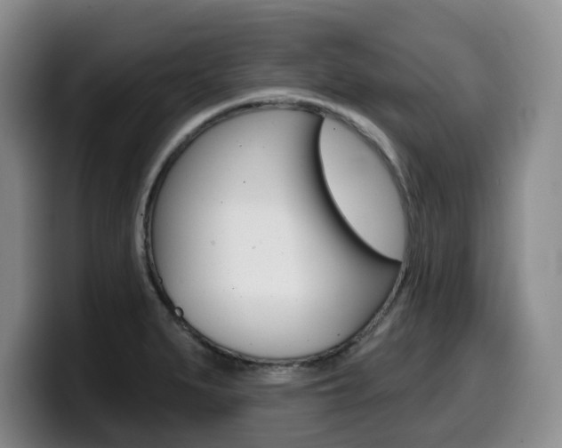X0000099451279200805090720