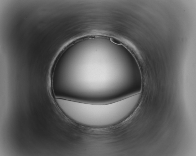 X0000099451280200805090720