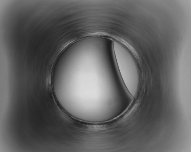 X0000099451281200805090720