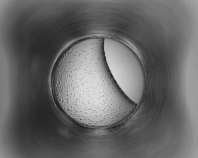 X0000099451283200805090720
