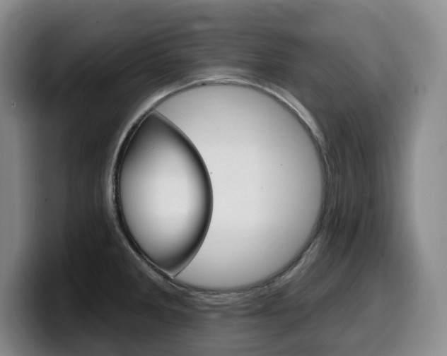 X0000099451285200805090720