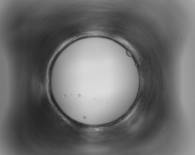 X0000099451286200805090720