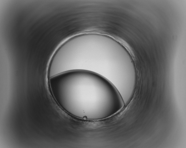 X0000099451288200805090720