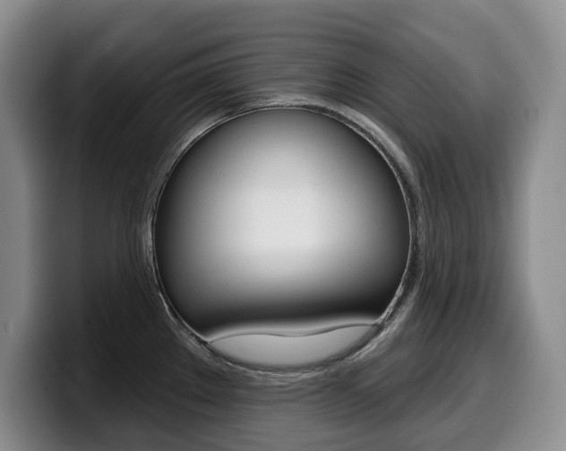 X0000099451289200805090720