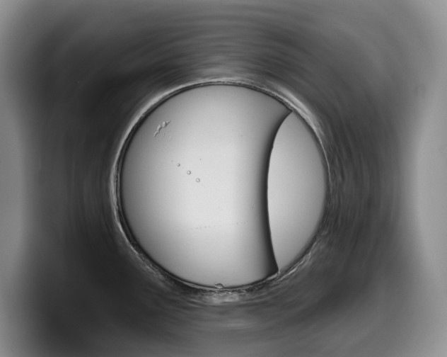 X0000099451291200805090720