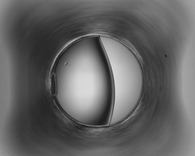 X0000099451292200805090720