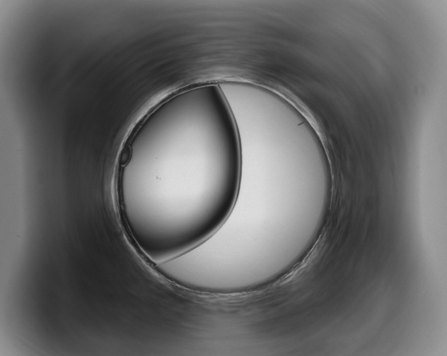 X0000099451293200805090720