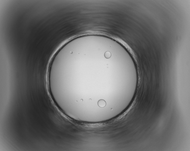 X0000099451294200805090720