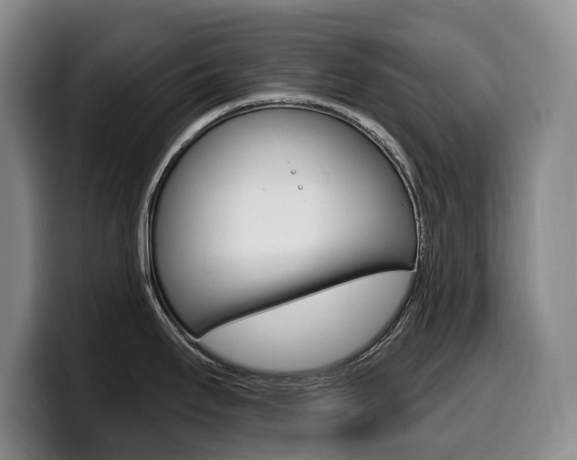 X0000099451295200805090720