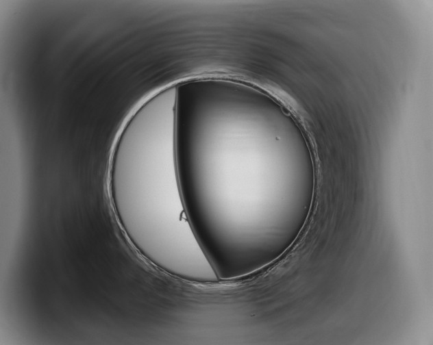 X0000099451296200805090720