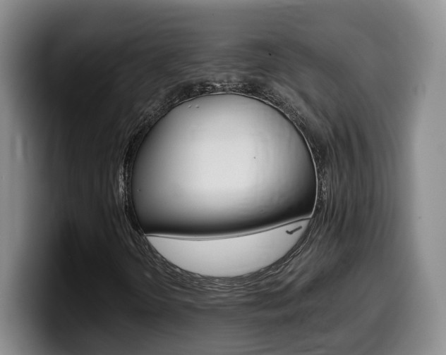 X0000099451298200805090719