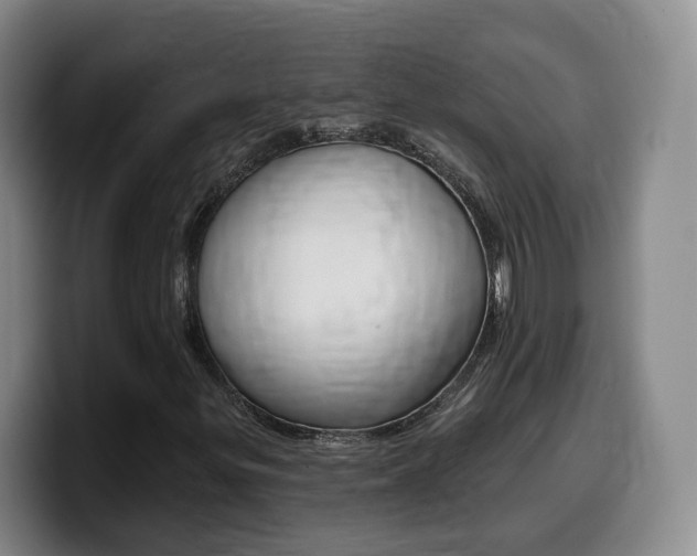 X0000099451299200805090719