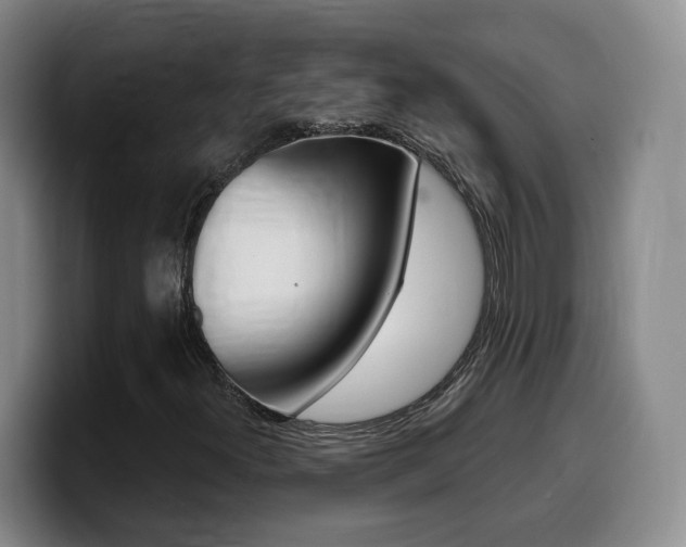 X0000099451300200805090719