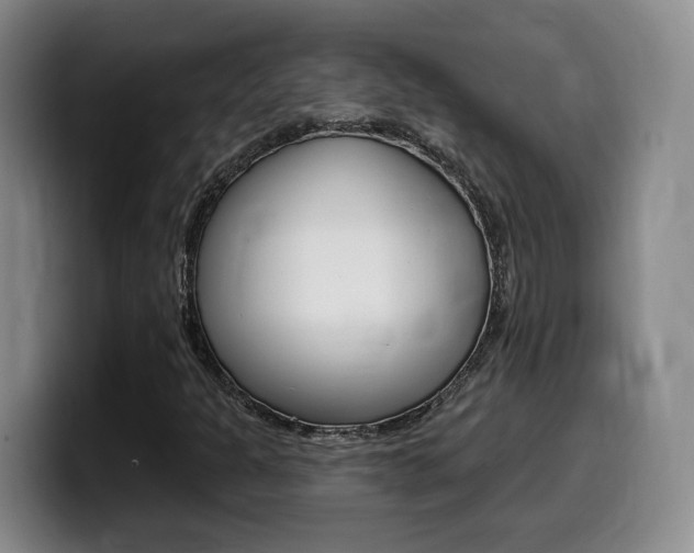 X0000099451301200805090719
