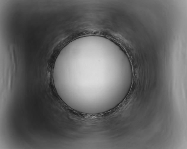 X0000099451302200805090719