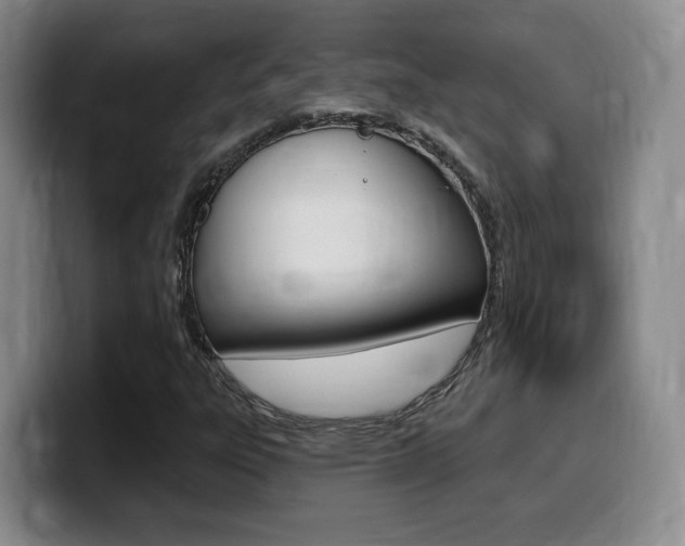 X0000099451303200805090719