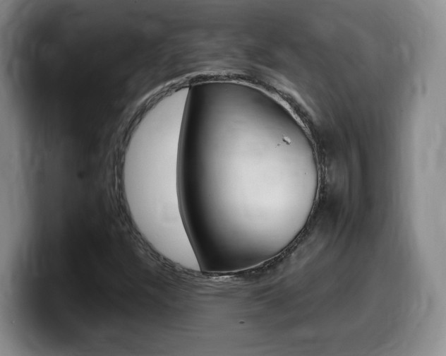 X0000099451304200805090719