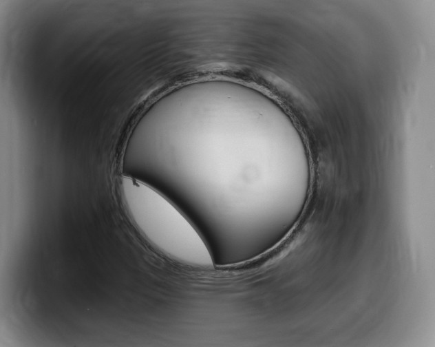 X0000099451305200805090719