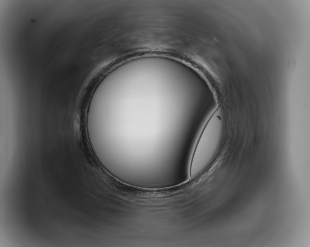 X0000099451307200805090719