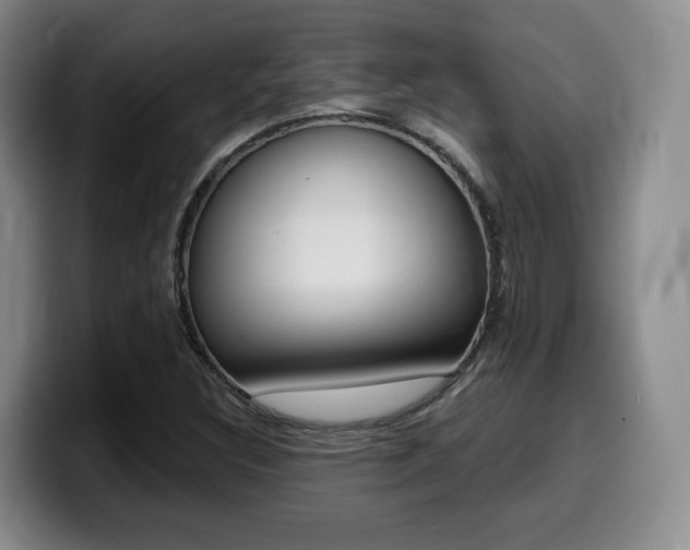 X0000099451308200805090719