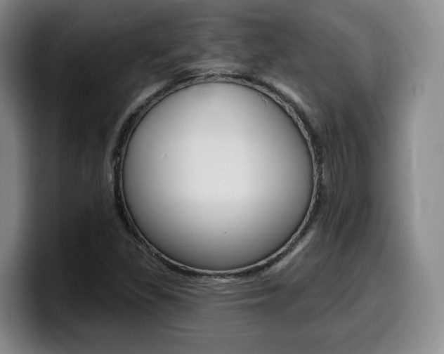 X0000099451309200805090719