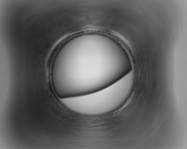 X0000099451310200805090719