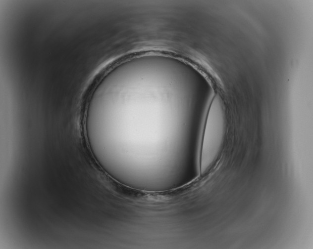 X0000099451312200805090719