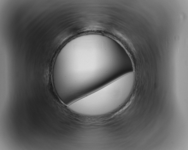 X0000099451313200805090719