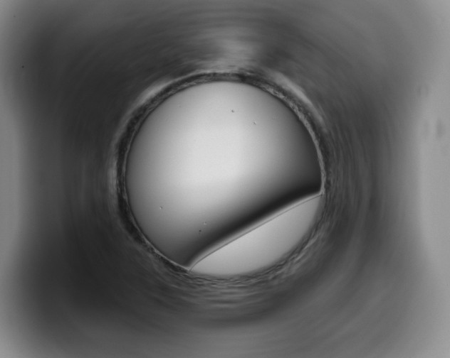 X0000099451315200805090719