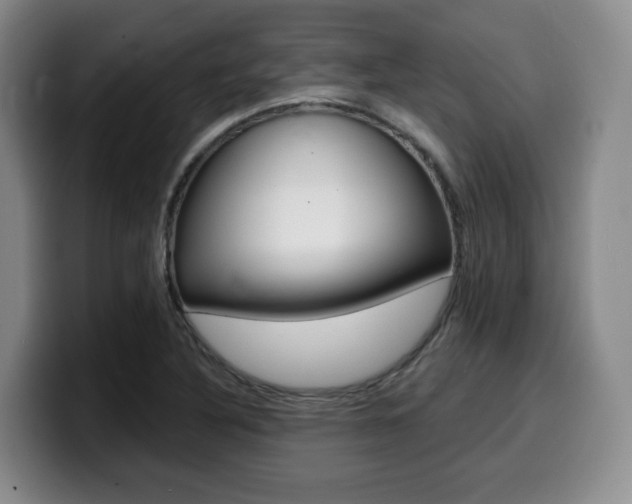 X0000099451316200805090719