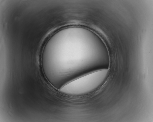 X0000099451318200805090719