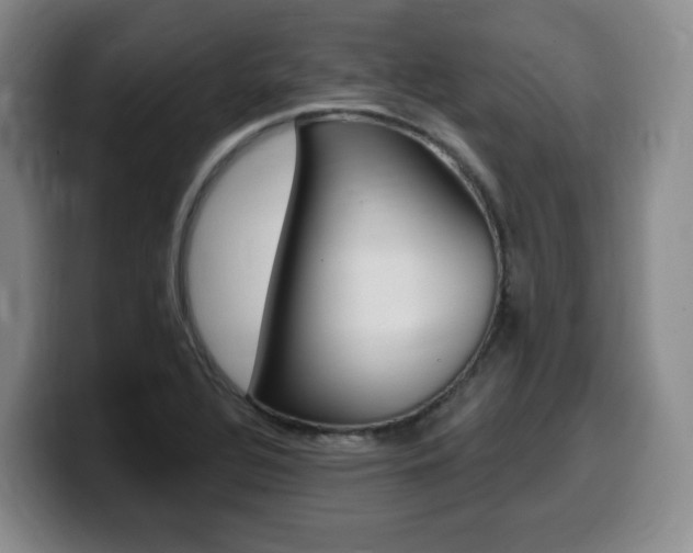 X0000099451320200805090719