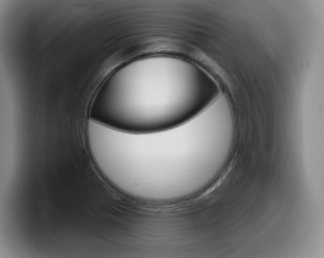 X0000099451321200805090719