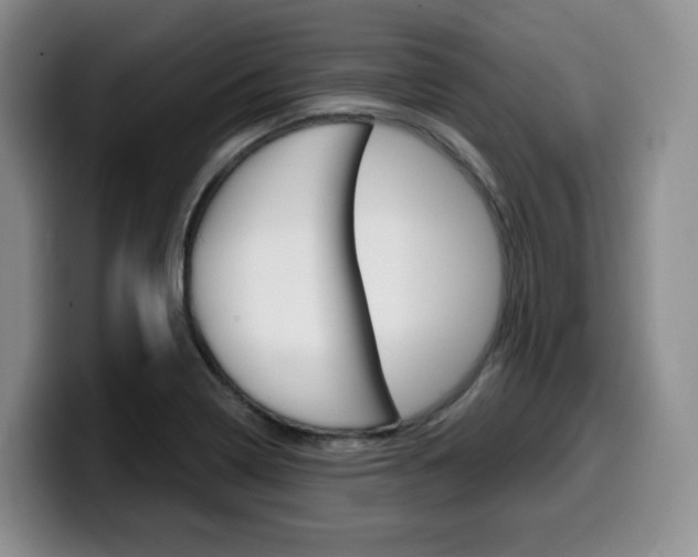 X0000099451322200805090719