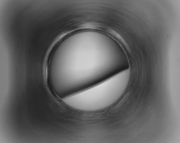 X0000099451323200805090720