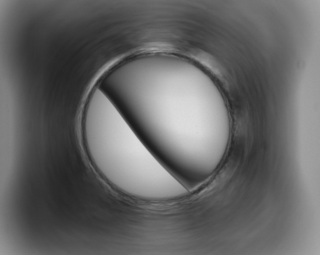 X0000099451325200805090720
