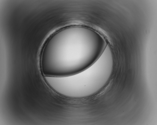 X0000099451326200805090720
