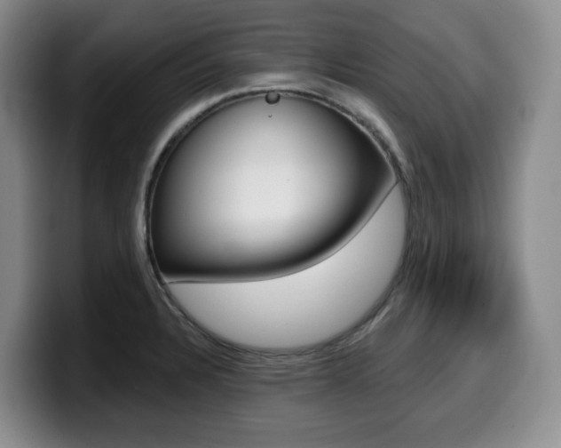 X0000099451328200805090720
