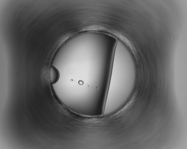 X0000099451329200805090720